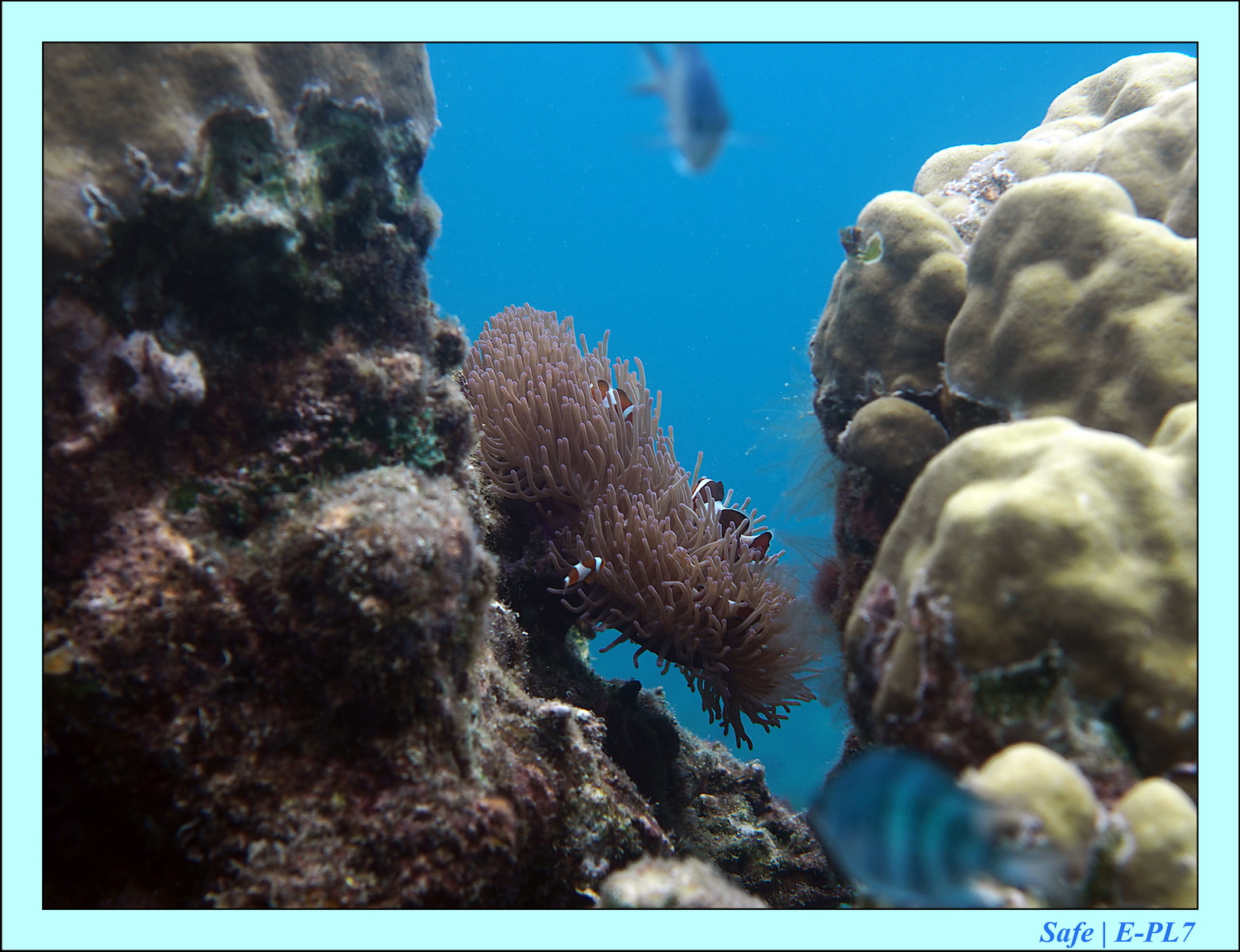 2016 - 07 - Leng Tengah - 023